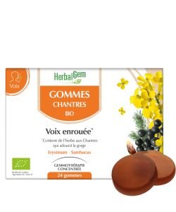 Gommes des Chantres BIO, 24 gommes